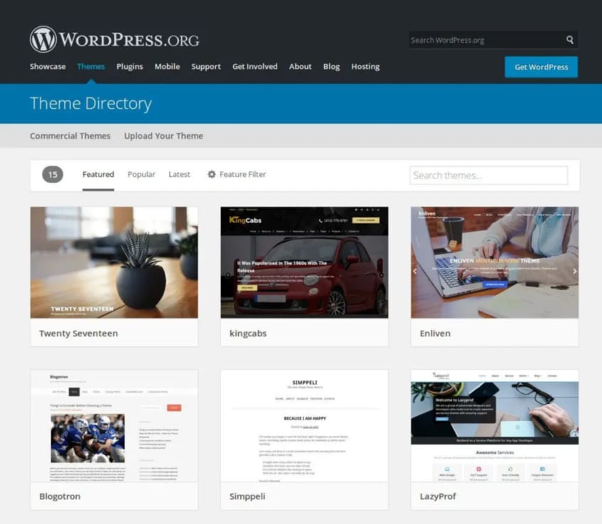 WordPress Thema